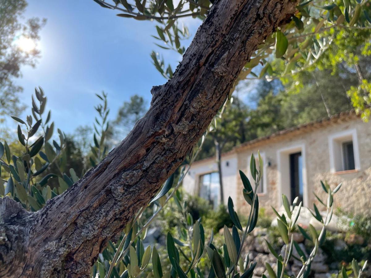 Eva'S Cabanon Lägenhet Cabasse Exteriör bild